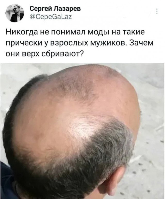 Весёлый полтишок 12.07 23