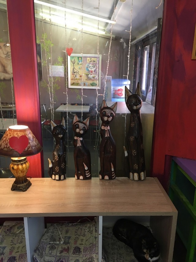 Музей Кота. Минск