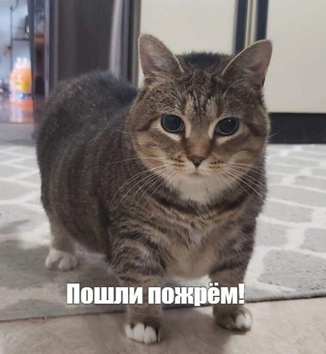 - Вы рыбов продаете?