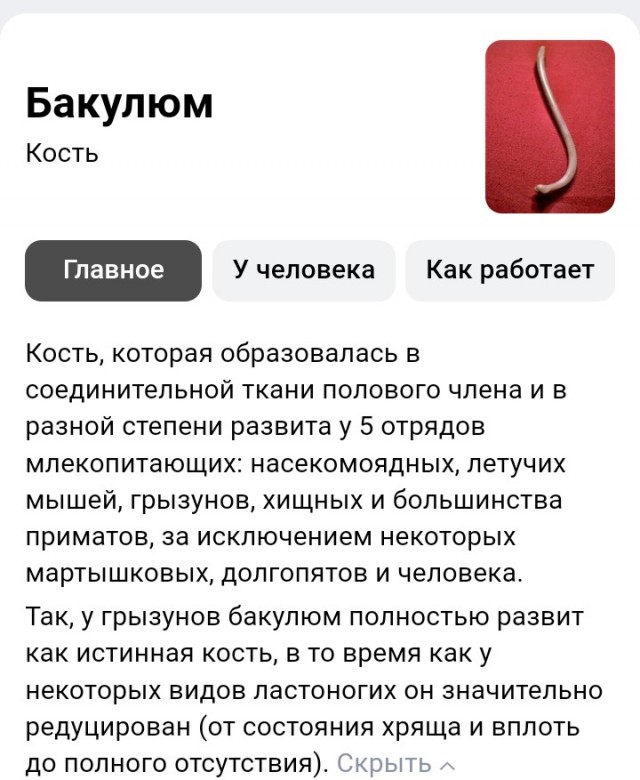 Так себе картинки 20.12.23