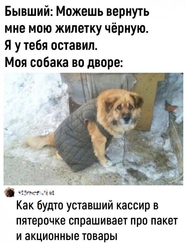 Пятничные картинки 19.01.2024