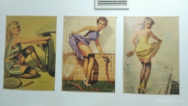 Pin Up и модели