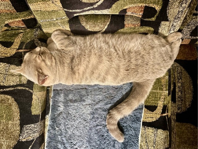 Наелся и спит