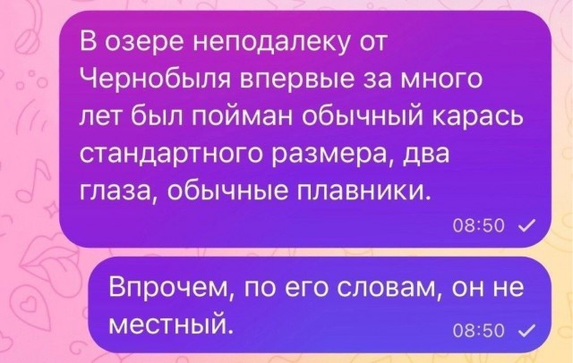Сборник бабаянов или неожиданная помойка