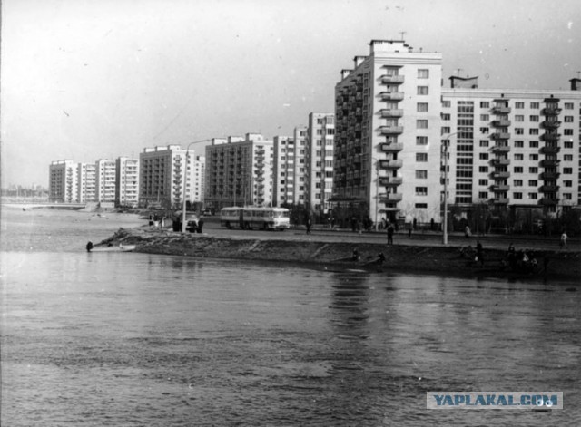 Просто ламповые фото Ikarus, разные