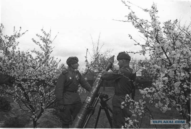 Дорогами войны ... (текст + 100 фото)