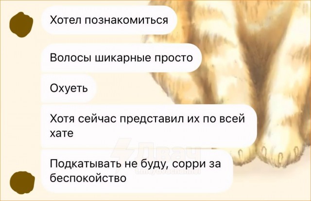 Завалялось тут случайно немного забавных картинок