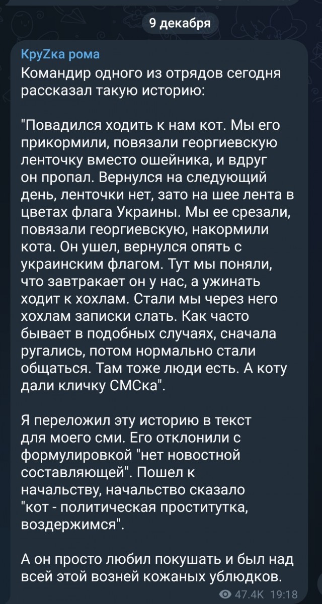 Кот СМСка
