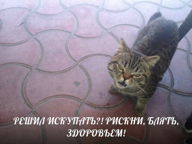 Хвастунишки