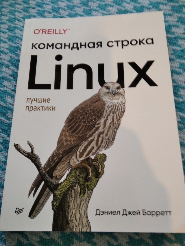 Официально: люди, читающие книги, умнее тех, кто залипает на видосы в соцсетях
