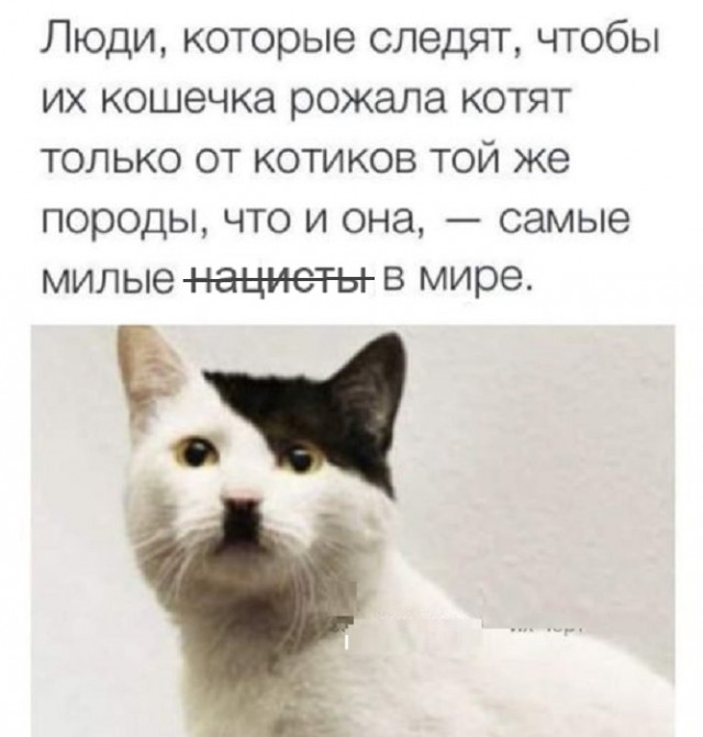 Картинки разные с надписями и без