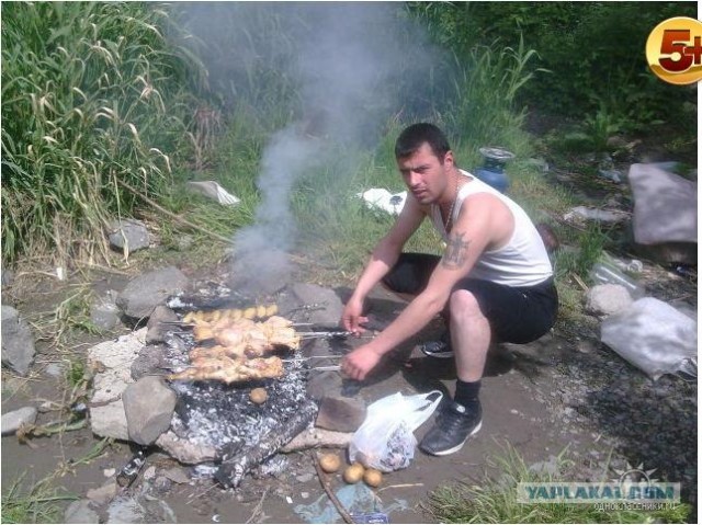 Дикие фото из социальных сетей