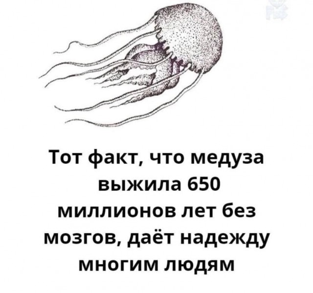 Так себе картинки 13.02.25