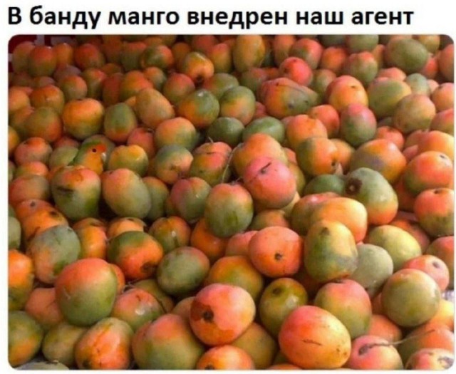 Всего понемногу. От 07.03.2025