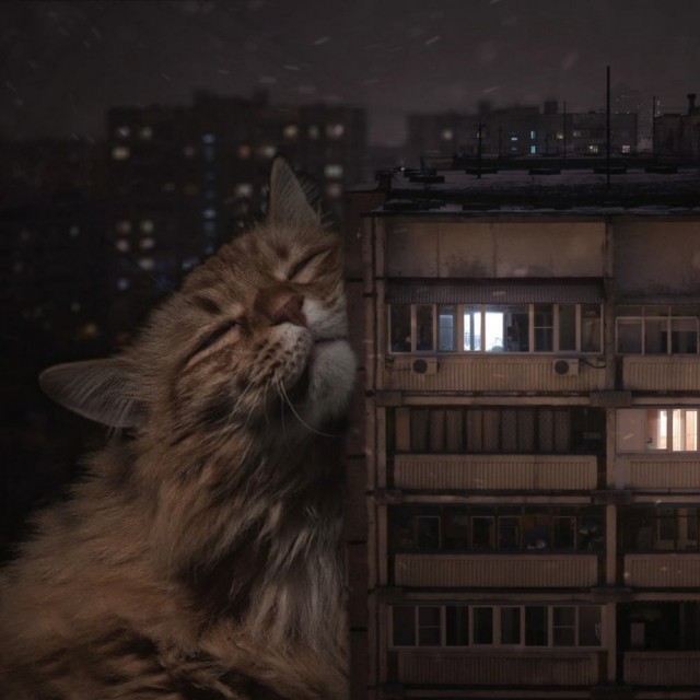 ФотоВинегрет