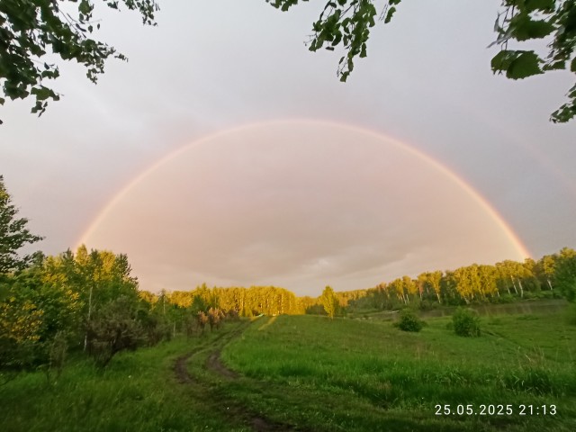 Хватит уже крутить коллайдер! В Новосибирске выпал снег