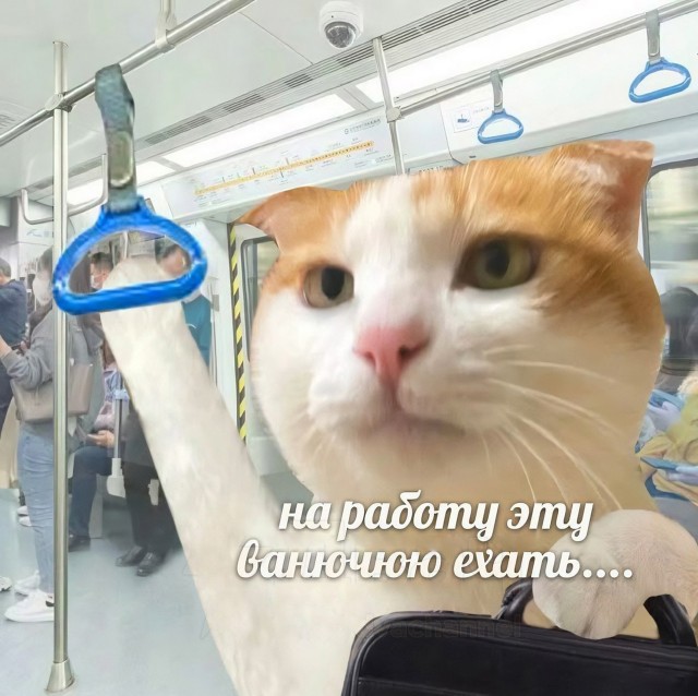 Так себе картинки 20.07.25