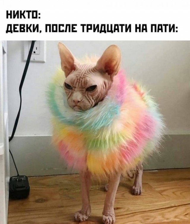 Веселые картинки в понедельник (11.08)