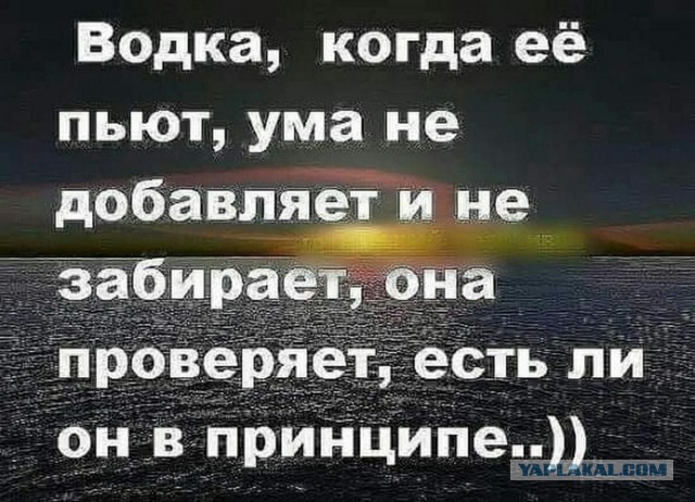 Рейс Дубай — Москва был задержан из-за пассажирки, которой не налили выпить