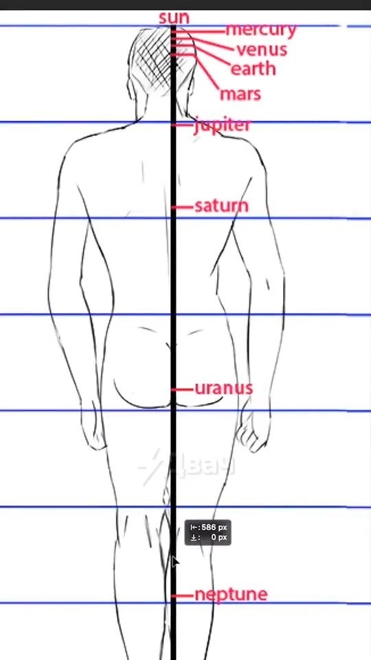 ЯП познавательный