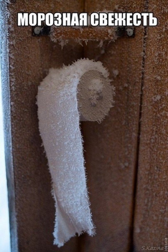 Tapтaлeтки & Ко