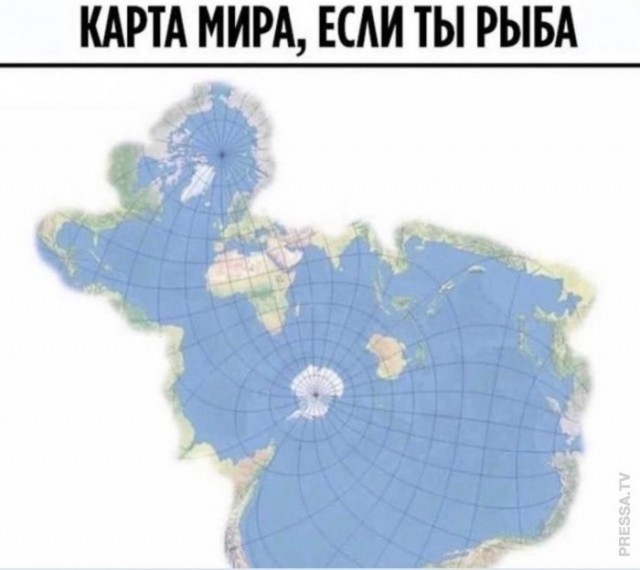 Веселые картинки в пятницу (27.02)