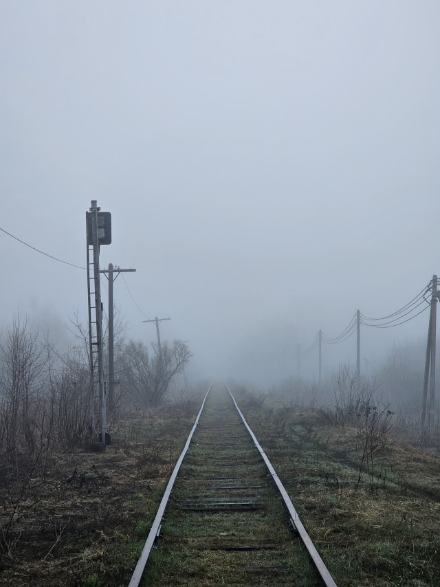 Красивое фото.