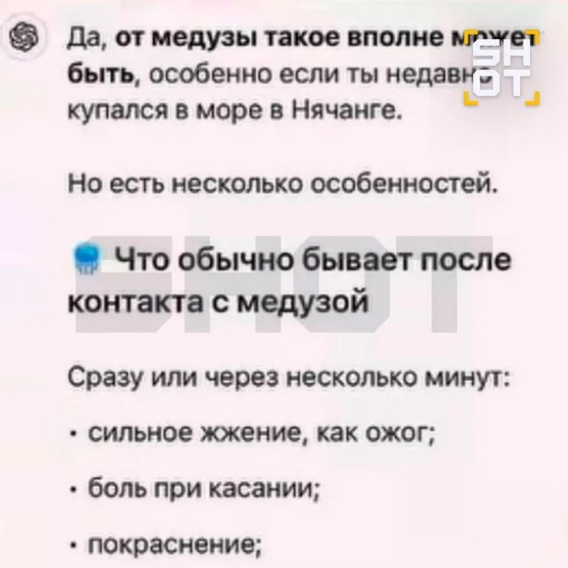 ChatGPT едва не убил россиянку, перепутав укус ядовитого томката и медузы