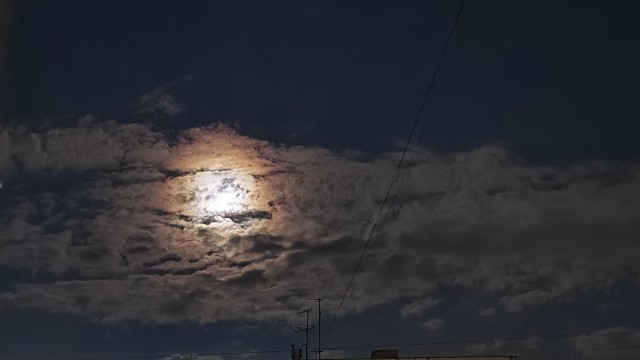 Одно фото
