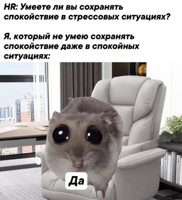 Психомемы-10