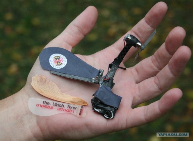 Уникальный беспилотник в виде кленового семени