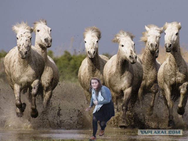 Мастерам фотошопа!