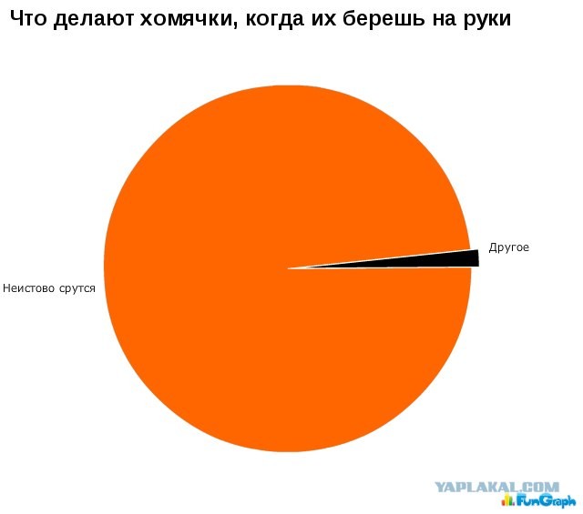 Занимательная статистика в диаграмах