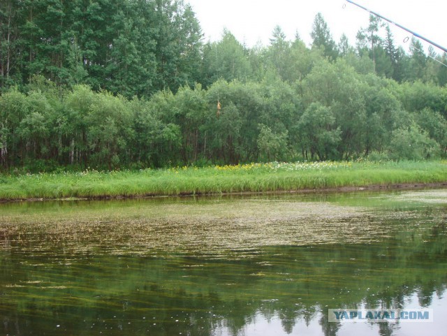 Рыбалка на р. Лена