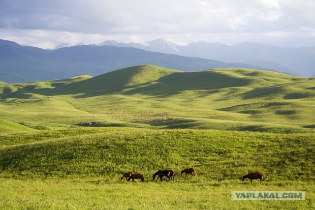 Великолепный  Казахстан! Часть 2