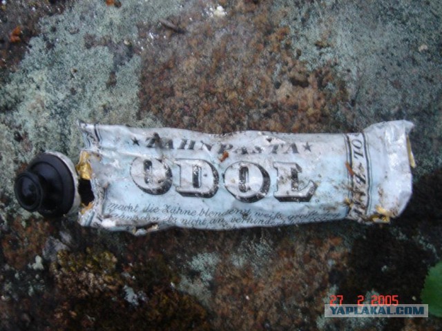 Отчет Банды маргиналов или трэш на Северах