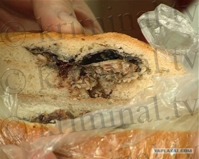 Мышиные какашки в обеденном хлебе. Что делать?