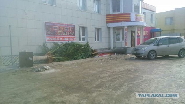 Аномальный ветер в г.Якутске РС(Якутия)