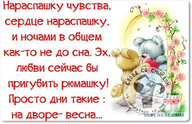 Веселые жизненные наблюдения из Вредного журнала