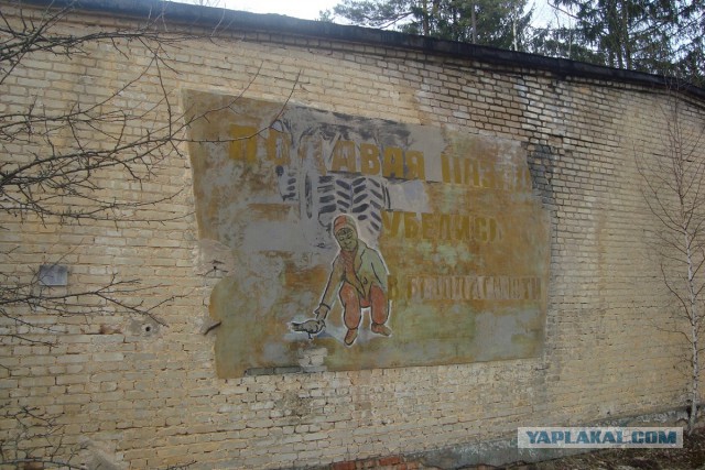 Выходные на свежем воздухе