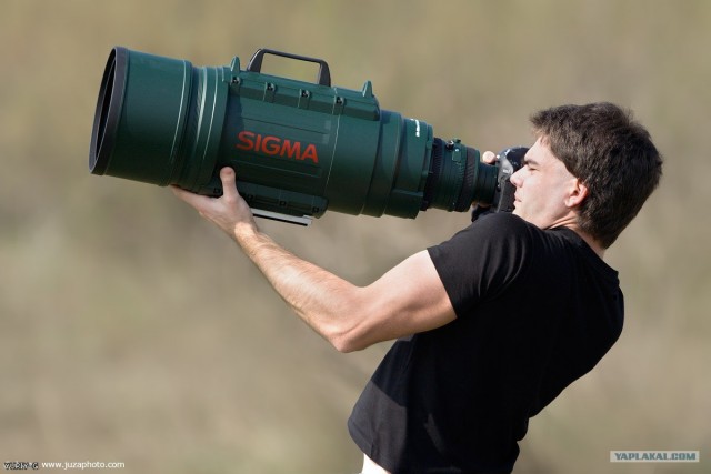 Массовое убийство и геноцид