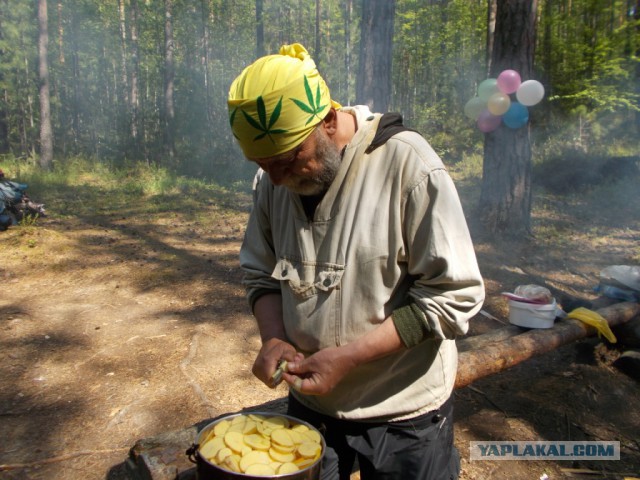 Готовим на костре или лесная кулинария