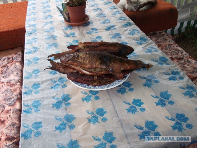 Лещ