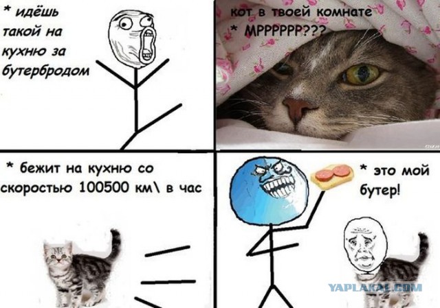 Немного школоты