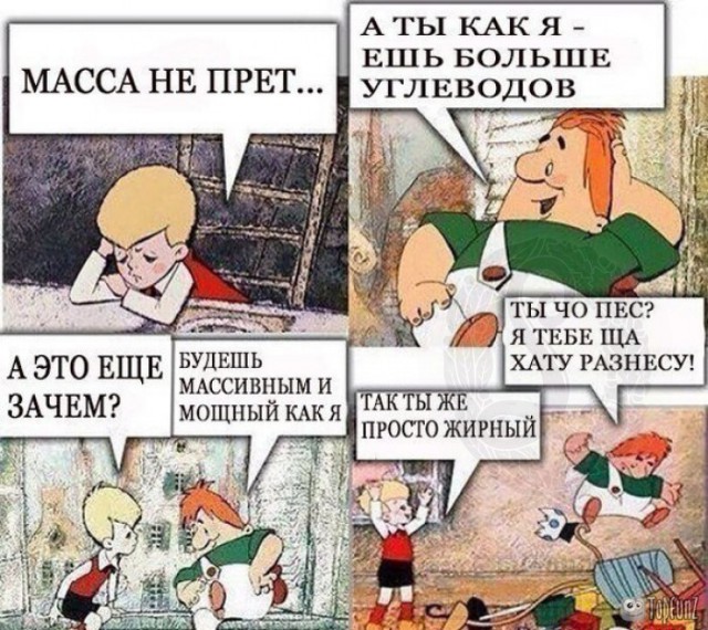 Что сделала любовь и забота с бездомным котенком