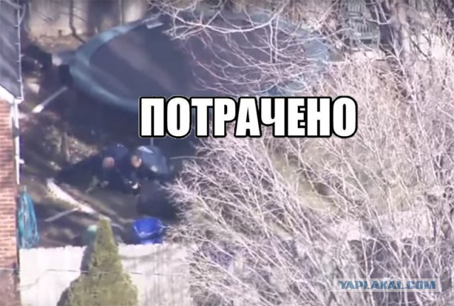 Красивая погоня