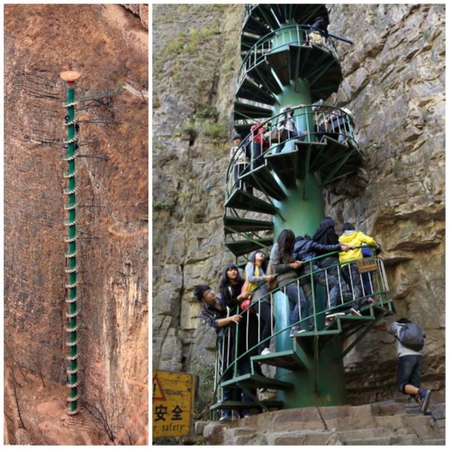 Картинки из сети