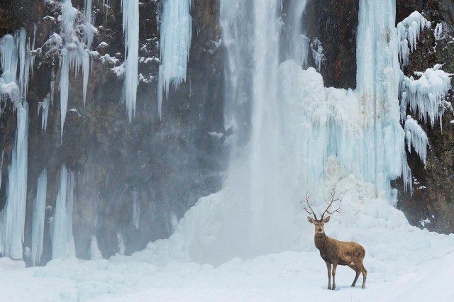 Подборка картинок 29.03.16