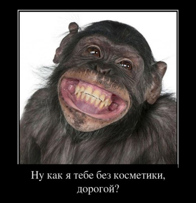 Позитивная подборка демотиваторов