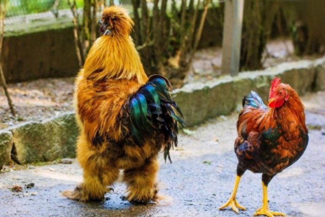 Подборка интересных и веселых фото